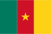 Cameroon flag